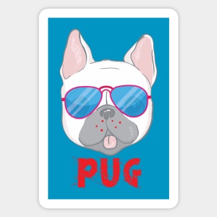 PUG WEARING GLASS Sticker